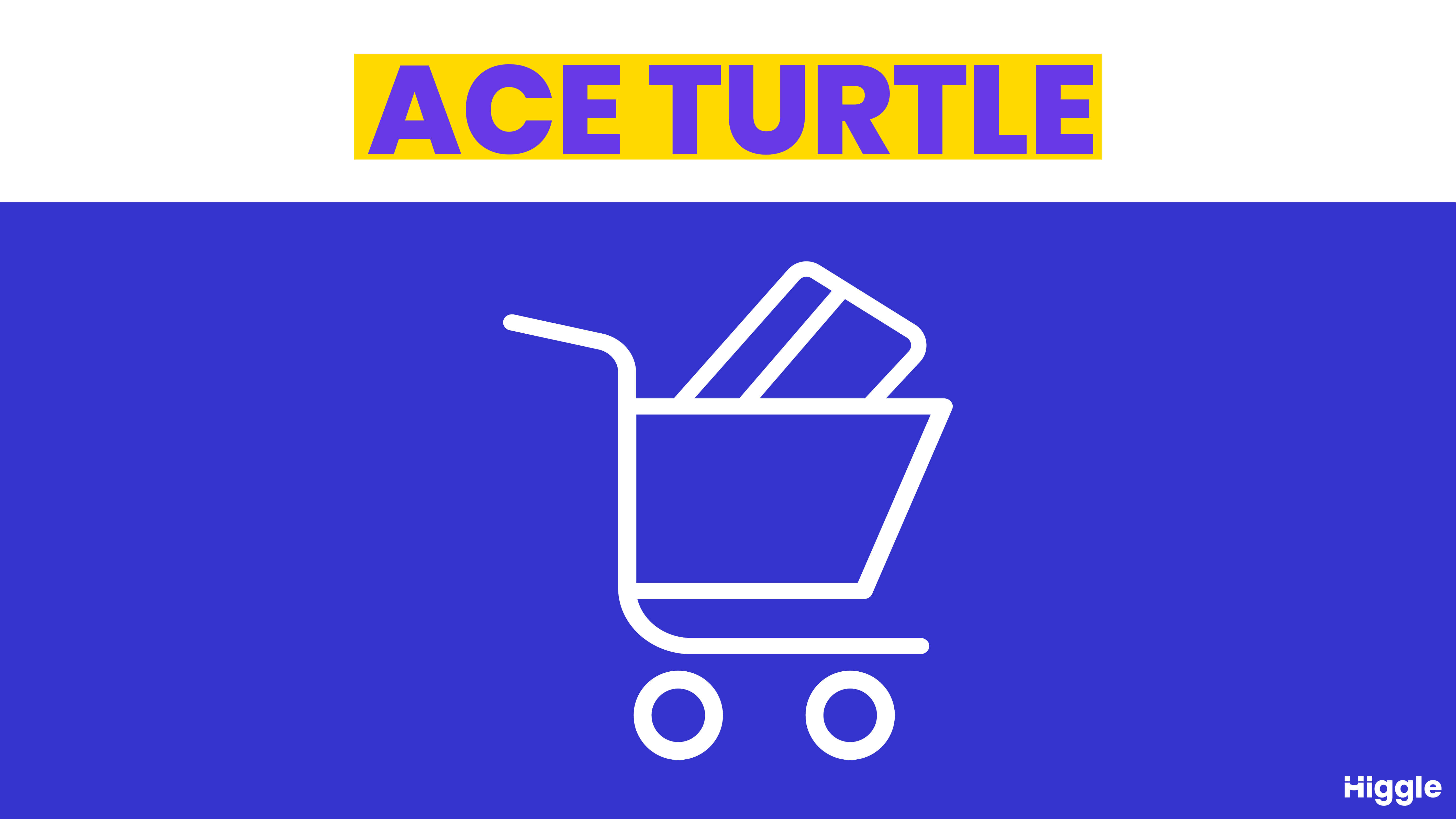 ace turtle