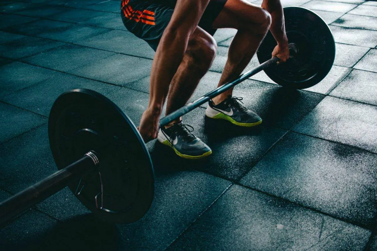 fittr squats