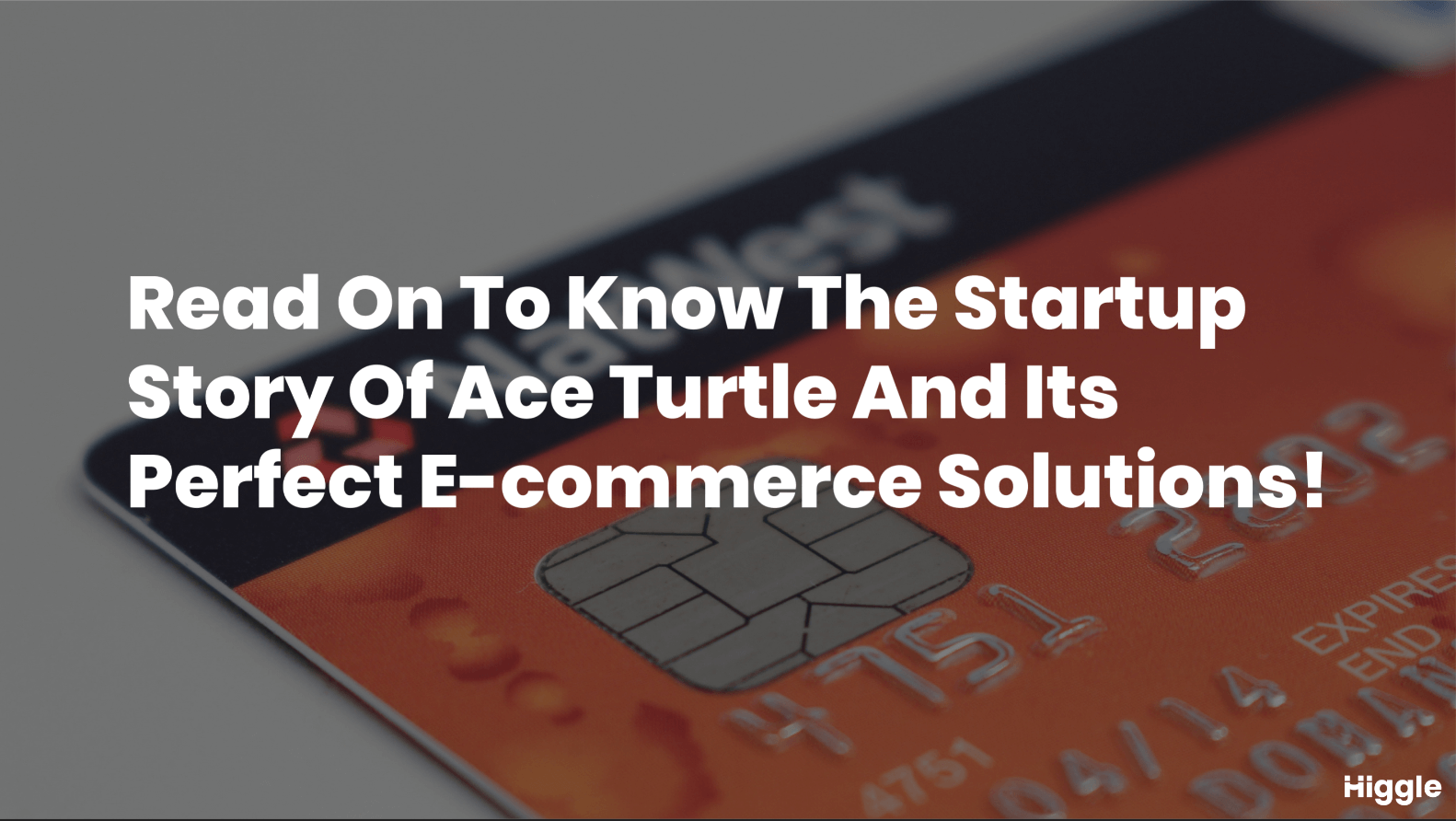 startup story of ace turtle